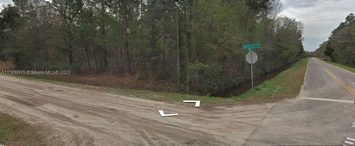 10105 Nikolich Ave, Other City - In The State Of Florida FL 32145 photo 3