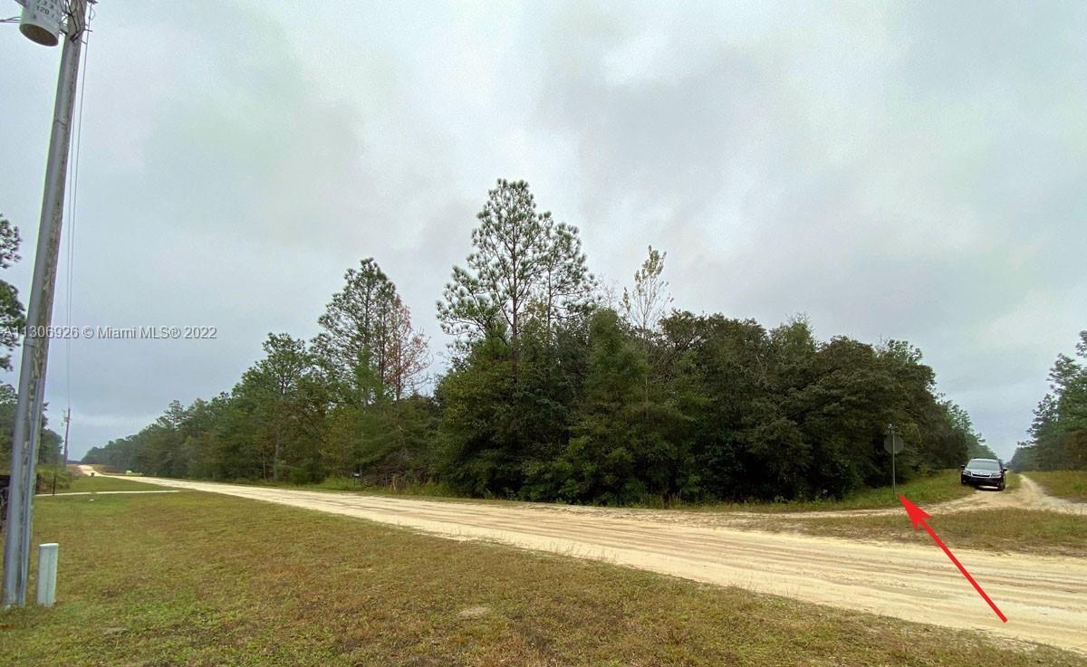 00 SW 80th ST, Other City - In The State Of Florida FL 34432 photo 3