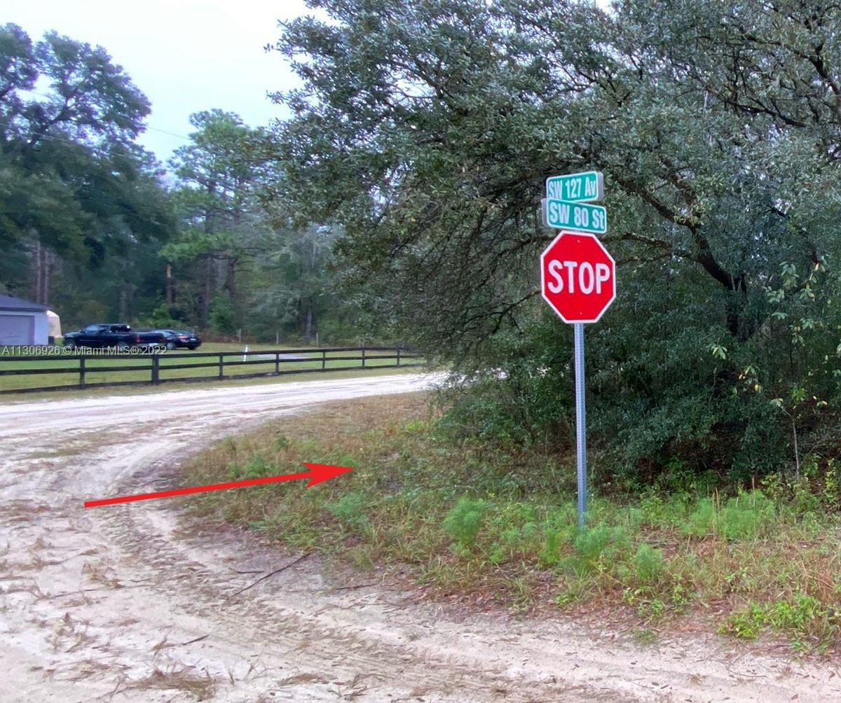 00 SW 80th ST, Other City - In The State Of Florida FL 34432 photo 5