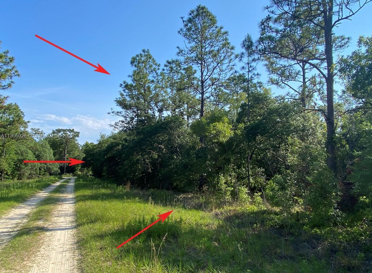 00 SW 80th ST, Other City - In The State Of Florida FL 34432 photo 4