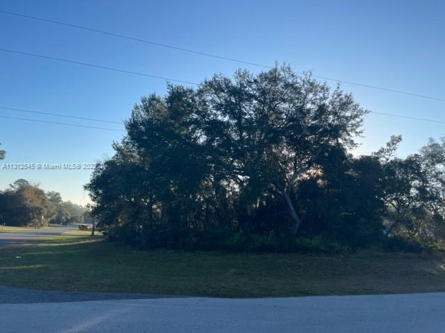 Ocala, FL 34473 photo 2