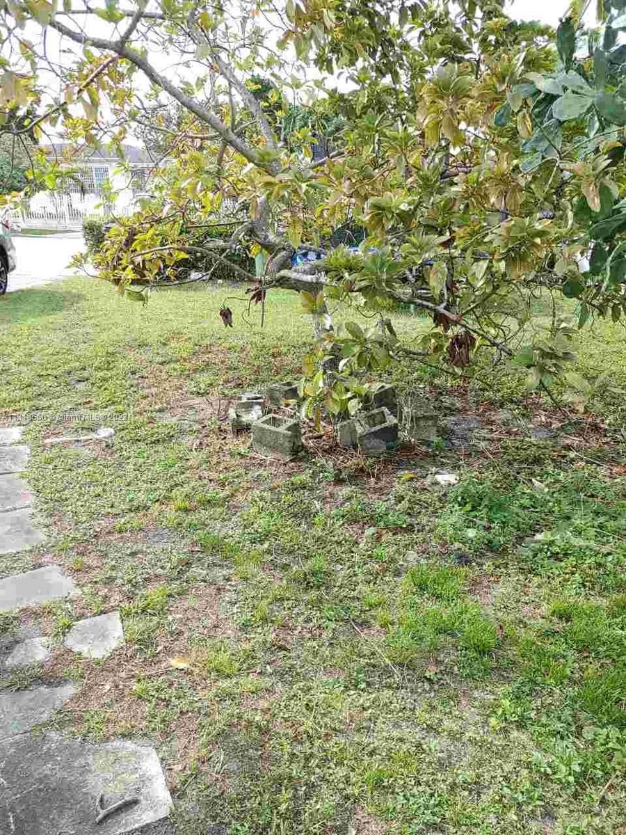 3667 E 2nd Ave, Hialeah FL 33013 photo 4
