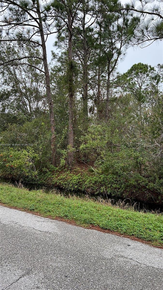 5420 LAKE HAVEN BOULEVARD, Sebring FL 33875 photo 5