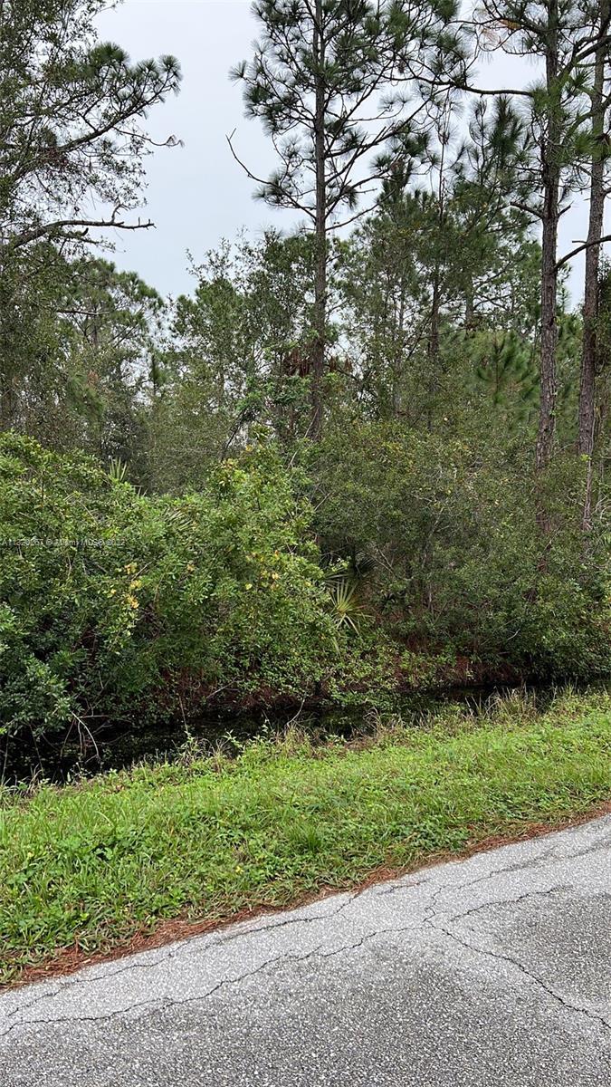 5420 LAKE HAVEN BOULEVARD, Sebring FL 33875 photo 4