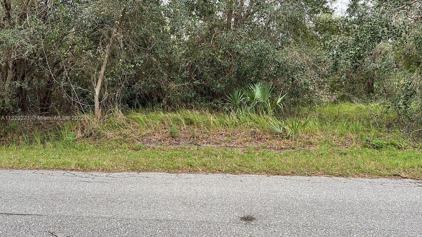 854 AMARANTH STREET, Lake Placid FL 33852 photo 2