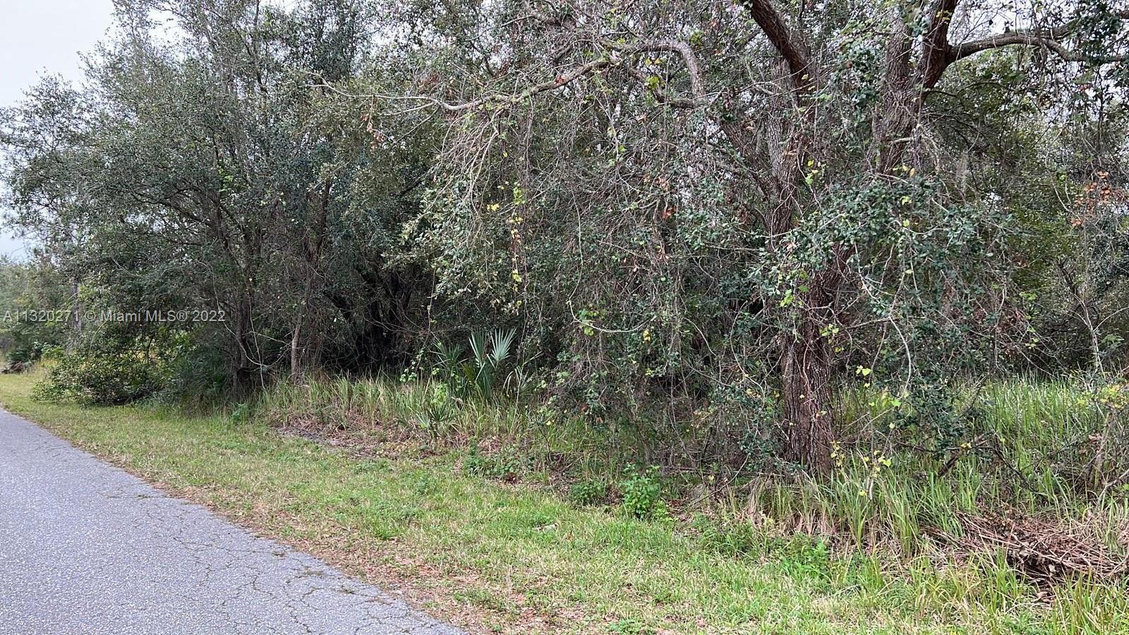 854 AMARANTH STREET, Lake Placid FL 33852 photo 3
