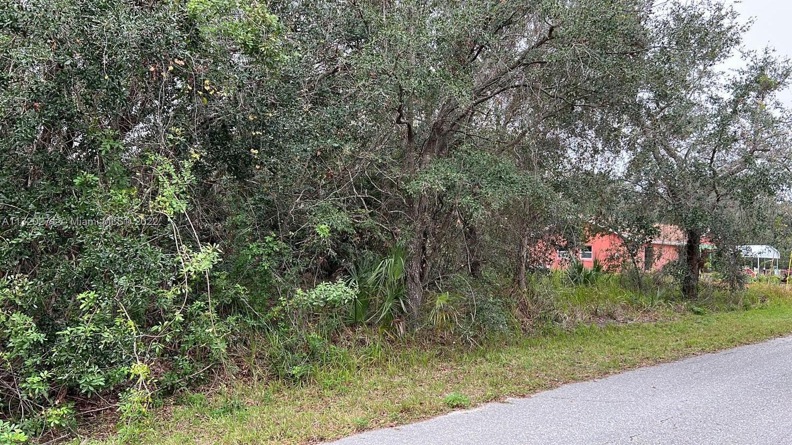 854 AMARANTH STREET, Lake Placid FL 33852