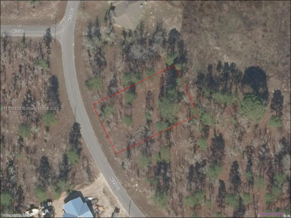 Lot 46 NE 152nd Ct, Williston FL 32696 photo 2