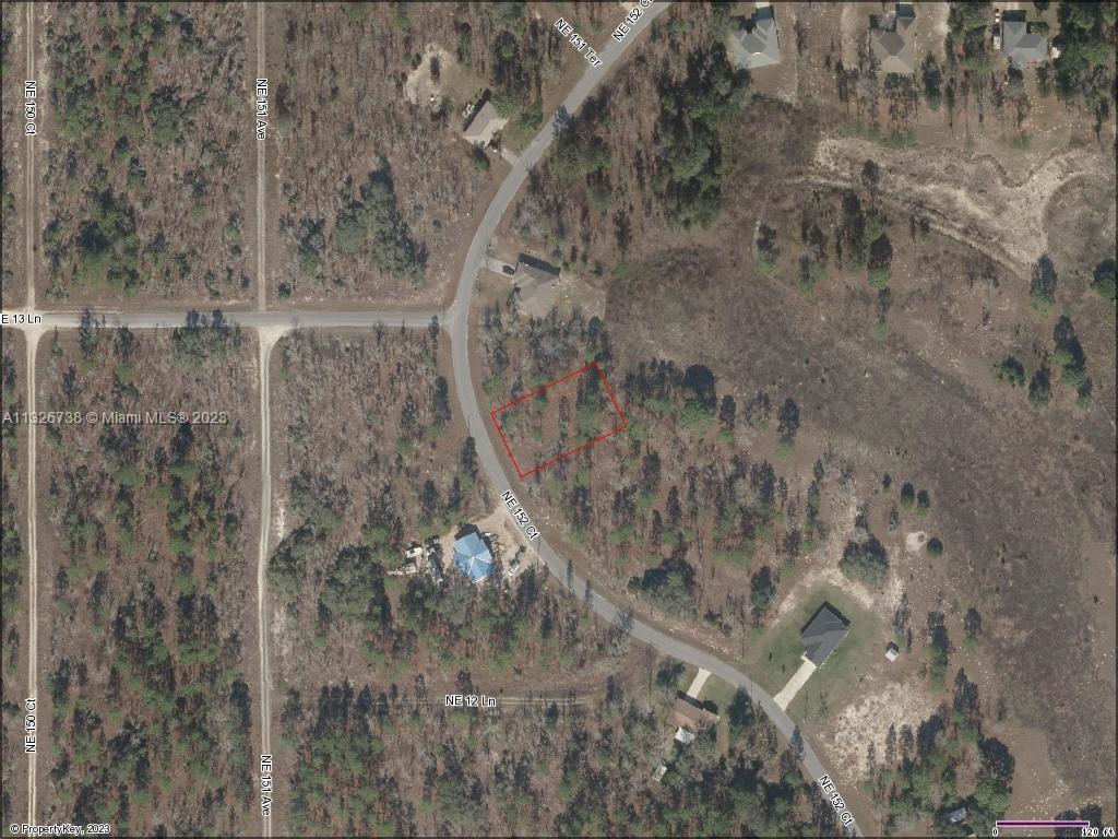 Lot 46 NE 152nd Ct, Williston FL 32696 photo 3