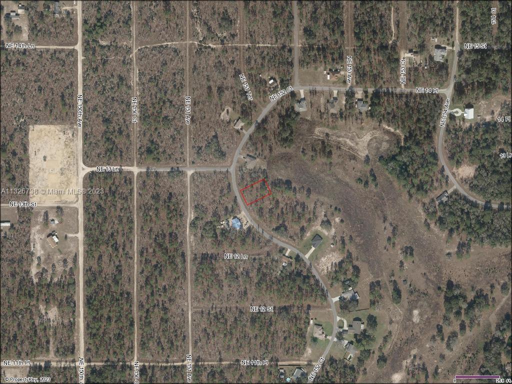 Lot 46 NE 152nd Ct, Williston FL 32696 photo 4