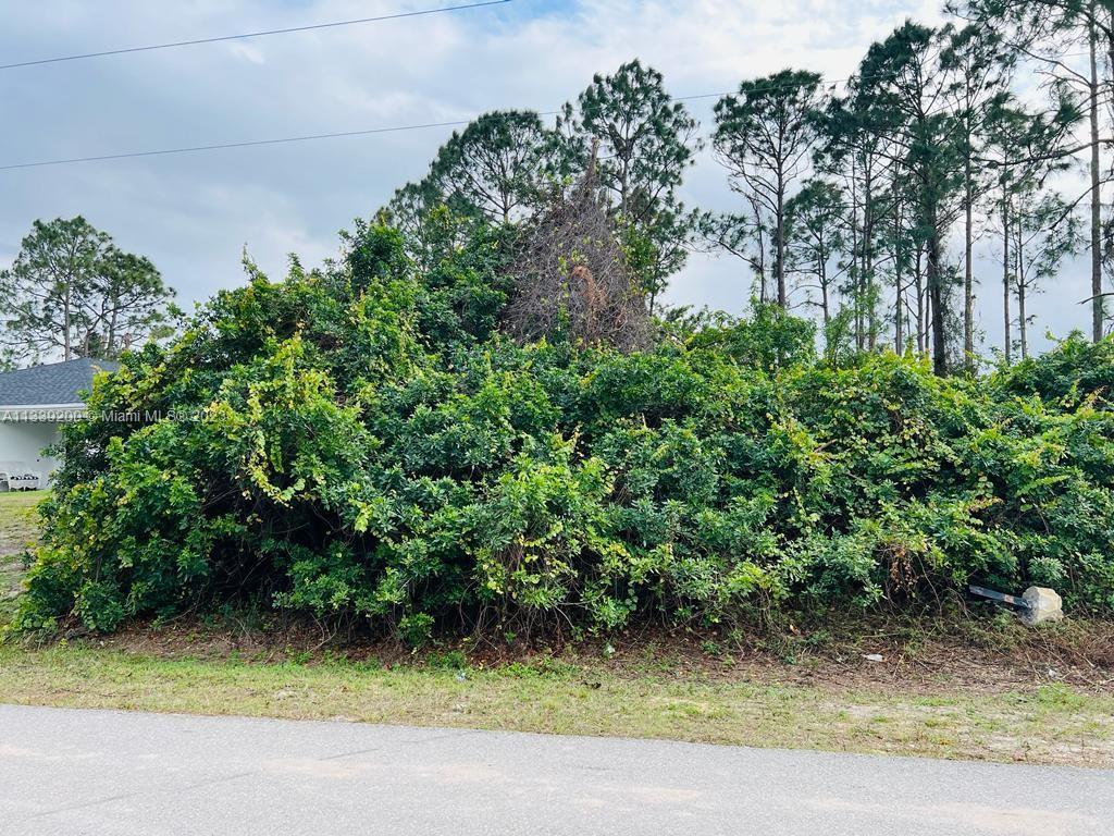 3617 SW 4th st Sw, Lehigh Acres FL 33976