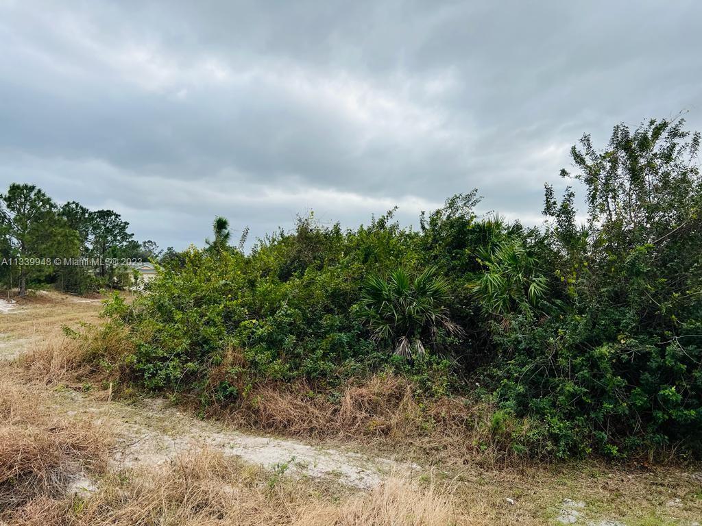 2701 SW 32ND TH ST, Lehigh Acres FL 33976 photo 2