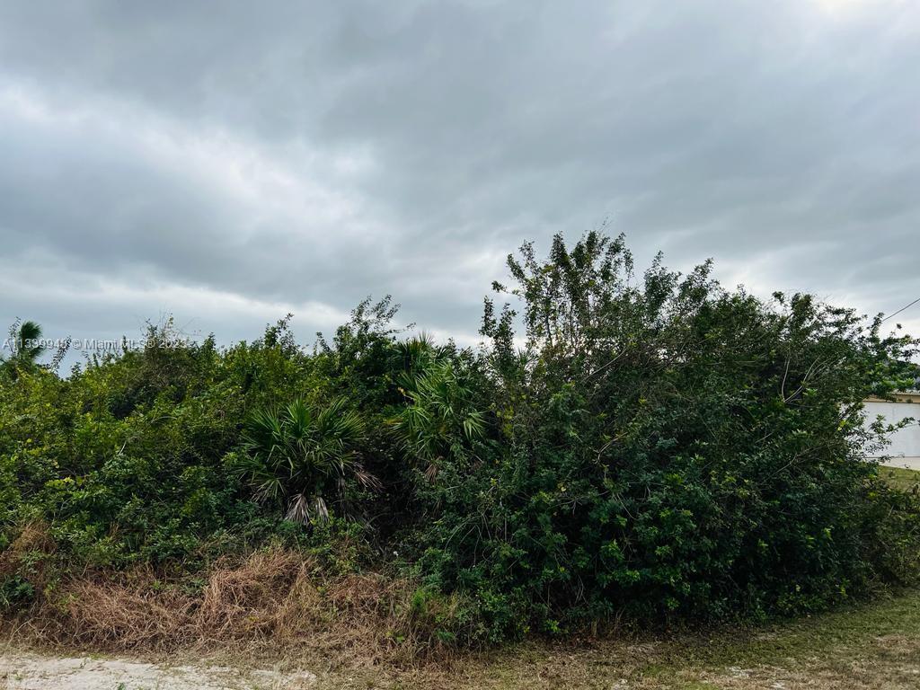 2701 SW 32ND TH ST, Lehigh Acres FL 33976