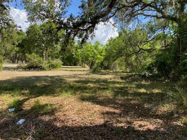0 County Road, La Belle FL 33935 photo 2