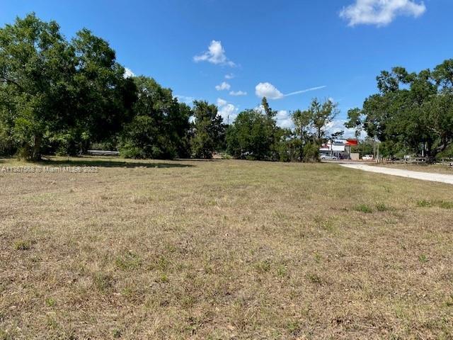 0 County Road, La Belle FL 33935 photo 3
