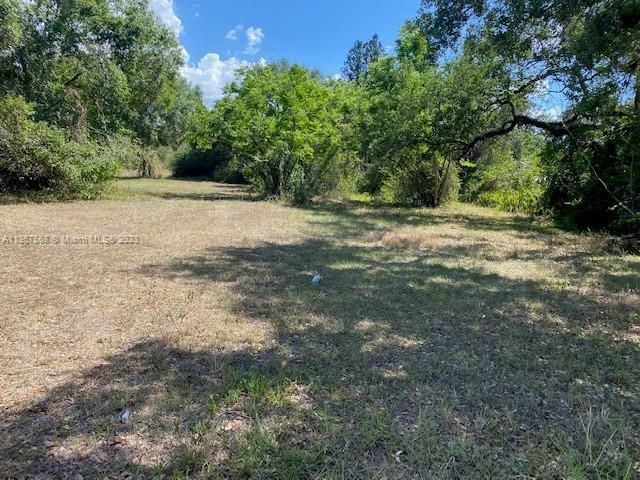 0 County Road, La Belle FL 33935