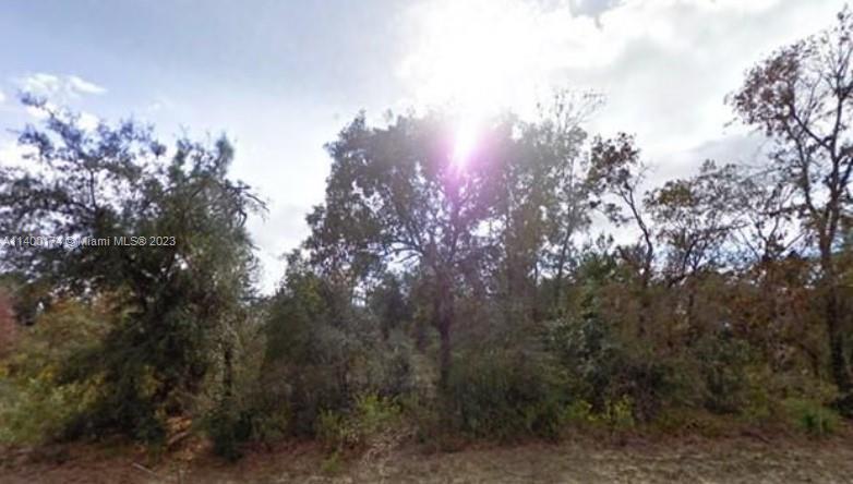 OLIVE PL CHIPLEY, Other City - In The State Of Florida FL 32428 photo 2