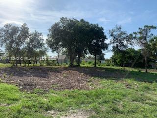 1794 Emerson Dr SE, Palm Bay FL 32909 photo 4
