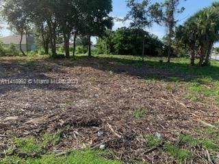 1804 Emerson Dr SE, Palm Bay FL 32909