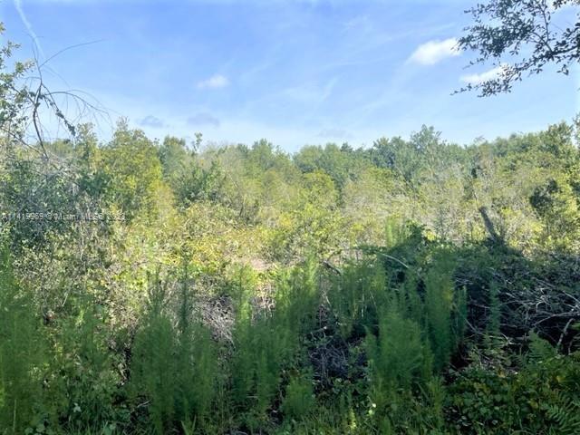 2900 W Yepremian Rd, Other City - In The State Of Florida FL 33825 photo 3