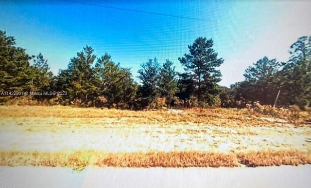 Lot 5 Fairhaven Dr., Other City - In The State Of Florida FL 32428 photo 5