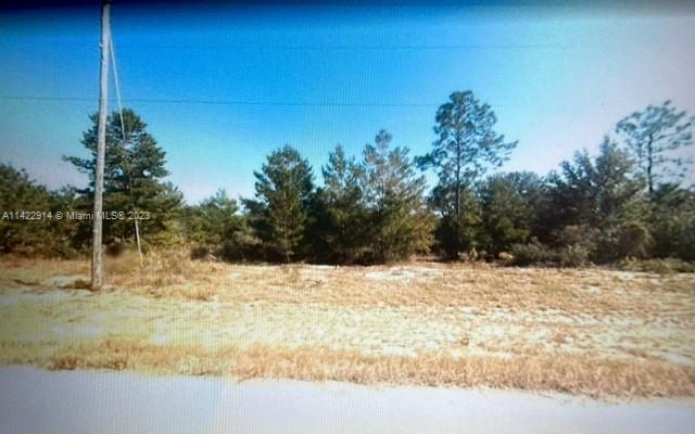 Lot 6 Fairhaven Dr., Other City - In The State Of Florida FL 32428 photo 5