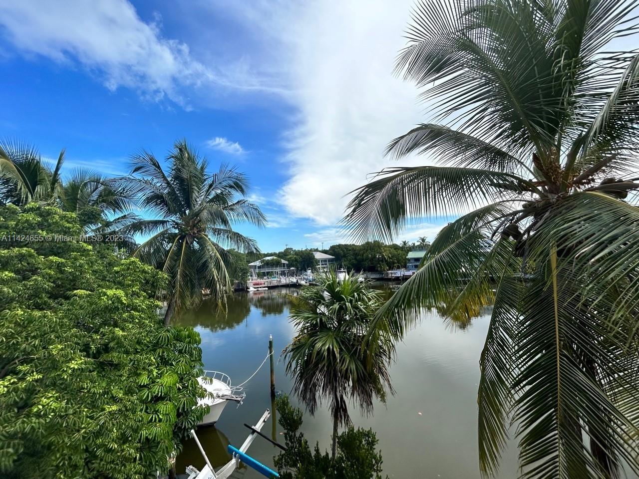 117 South Dr, Islamorada FL 33036 photo 4