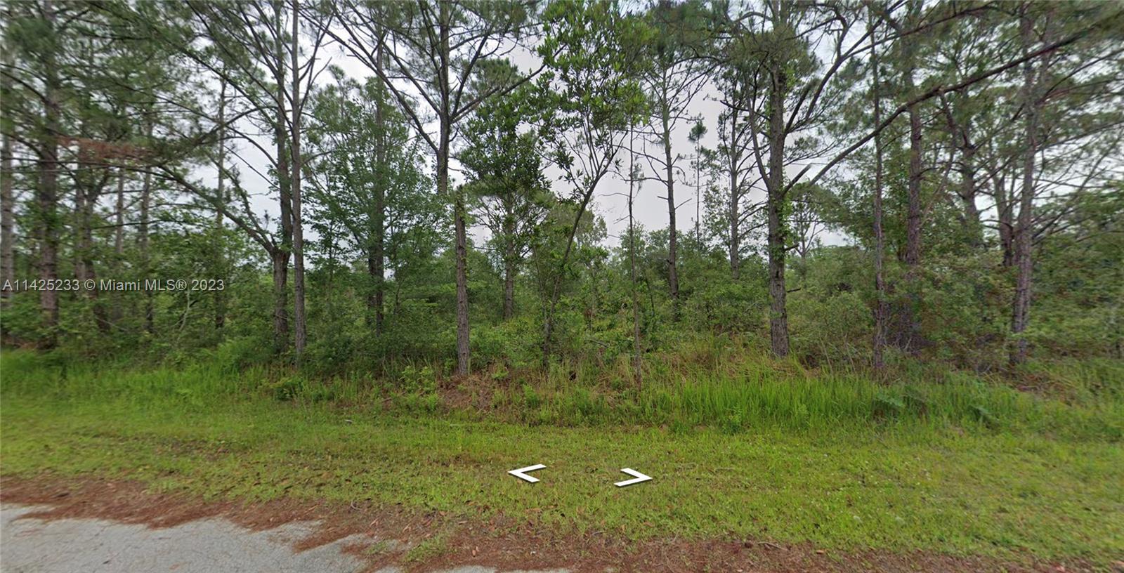 8000 TREVINO AVE, Sebring FL 33872 photo 2