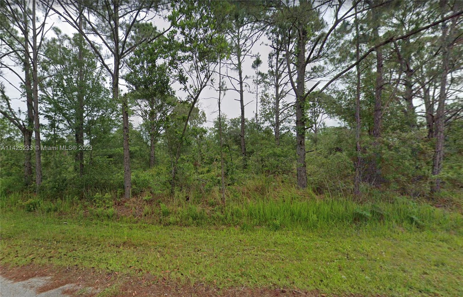 8000 TREVINO AVE, Sebring FL 33872