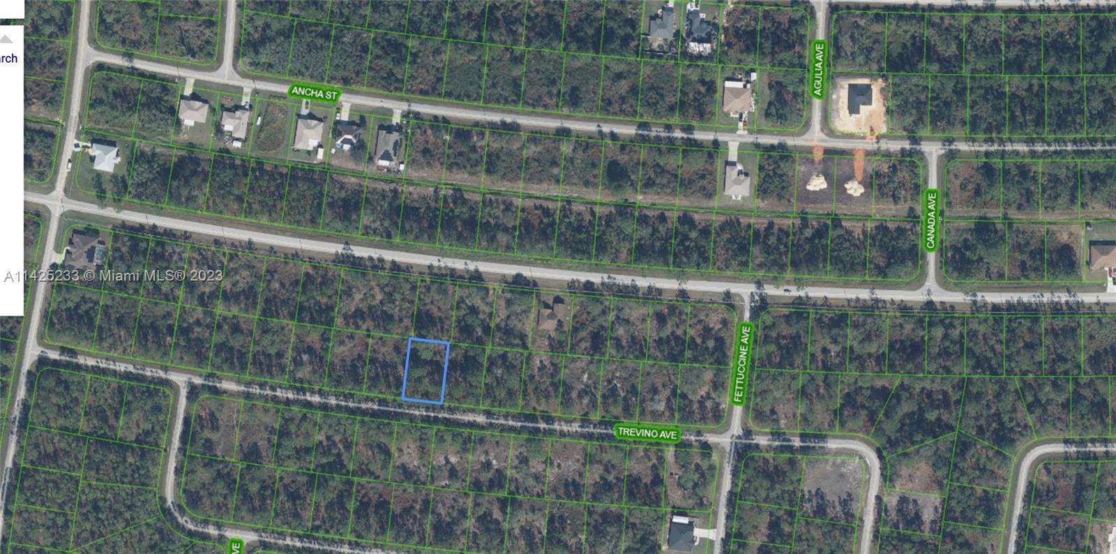 8000 TREVINO AVE, Sebring FL 33872 photo 5