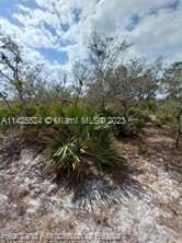 10522 Tam O'Shanter Blvd, Sebring FL 33875