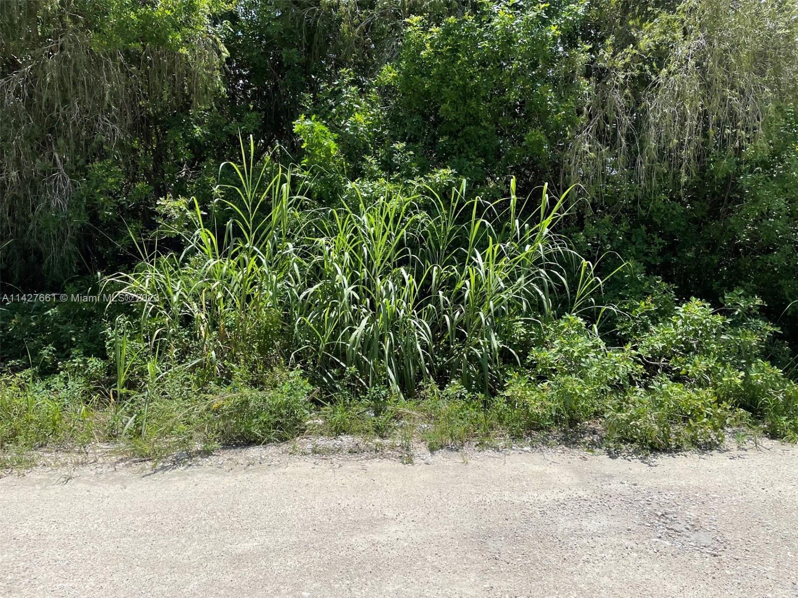154XX SW 213 Ave, Unincorporated Dade County FL 33187 photo 2