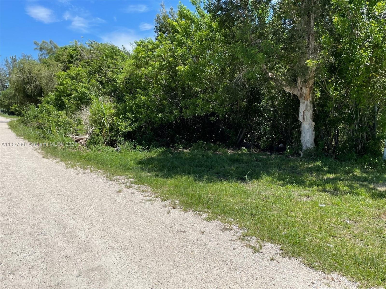 154XX SW 213 Ave, Unincorporated Dade County FL 33187 photo 5