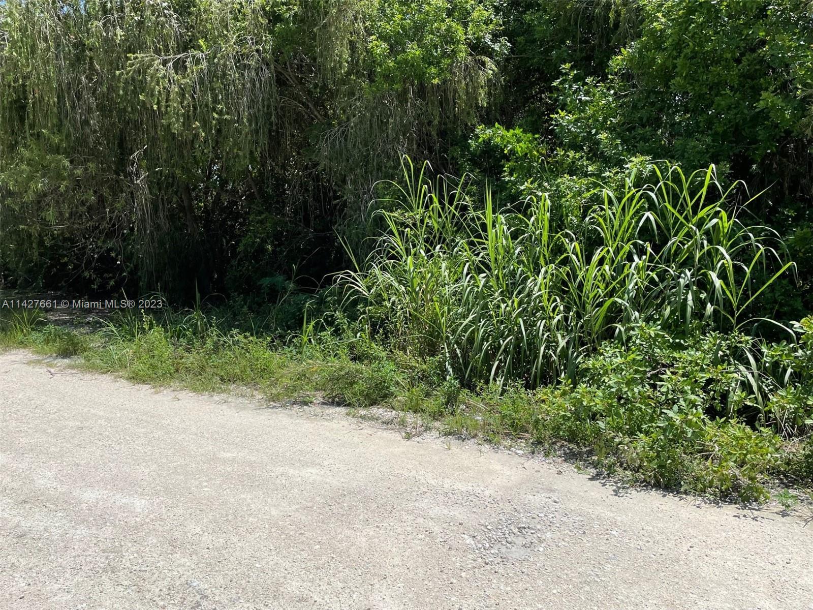 154XX SW 213 Ave, Unincorporated Dade County FL 33187 photo 4