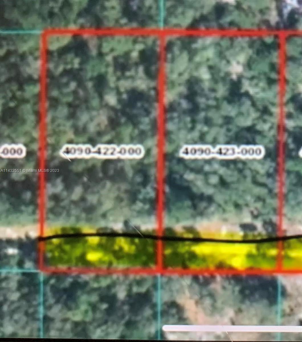 8687 SW 158 Lane, Other City - In The State Of Florida FL 34432