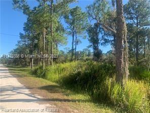 1949 Scarlet Sage Terrace, Sebring FL 33875 photo 3