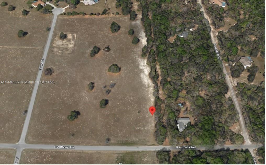 2988 N Anthony Avenue, Other City - In The State Of Florida FL 34442 photo 5