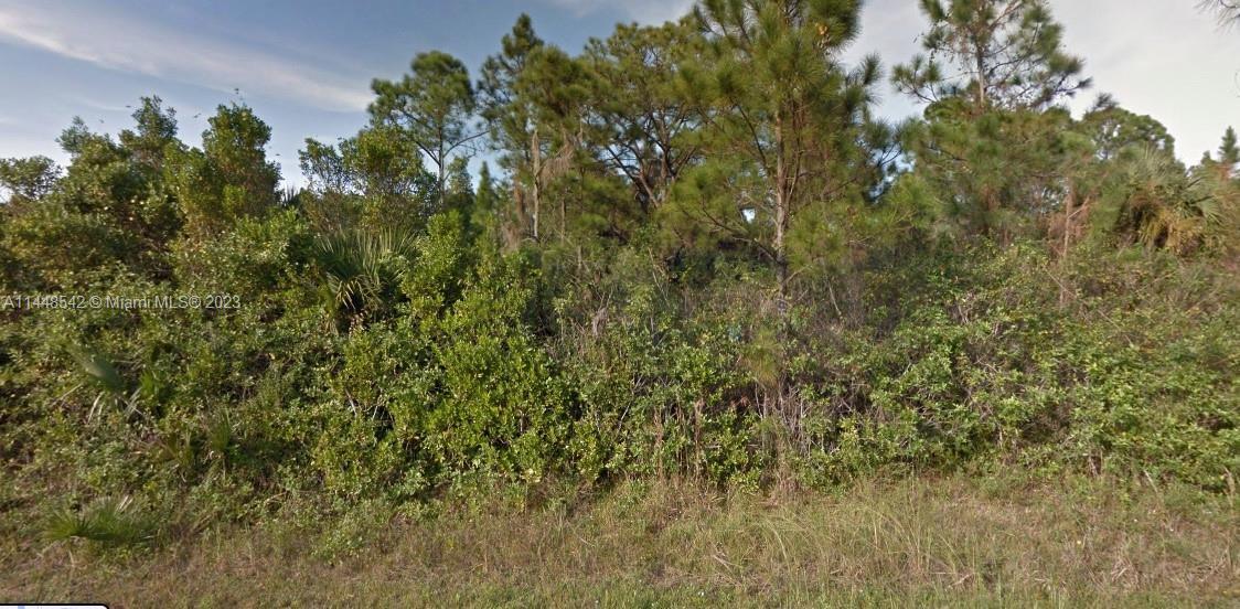 1245 Rake St E, Other City - In The State Of Florida FL 33974