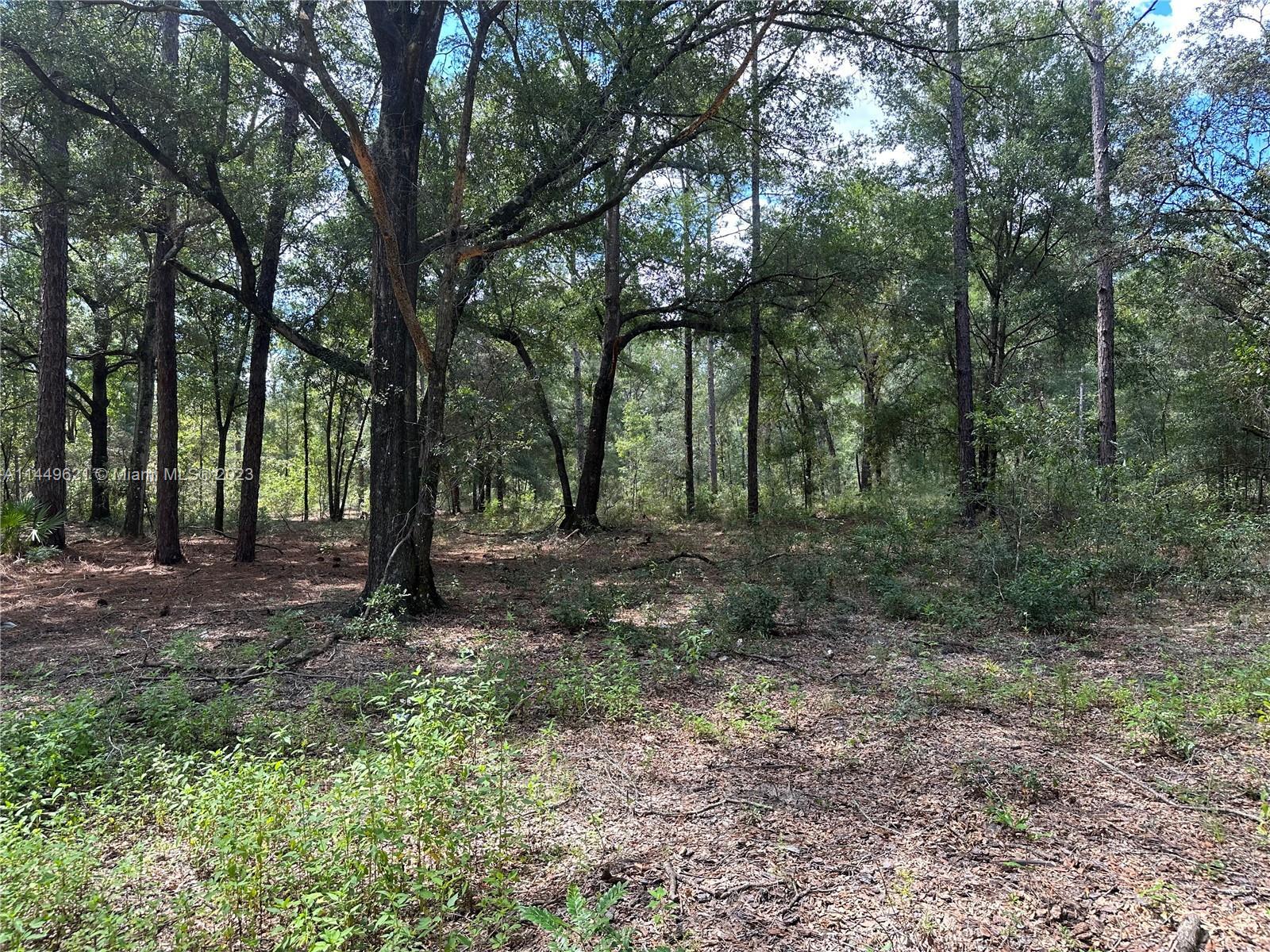 93 SW Place, Other City - In The State Of Florida FL 34432 photo 2