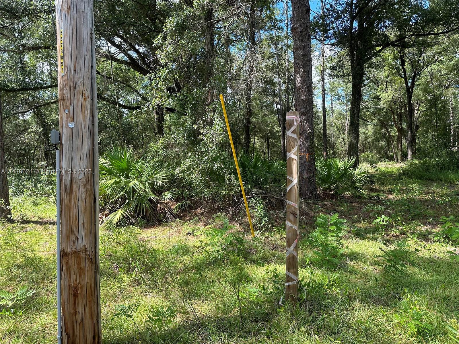 93 SW Place, Other City - In The State Of Florida FL 34432 photo 3