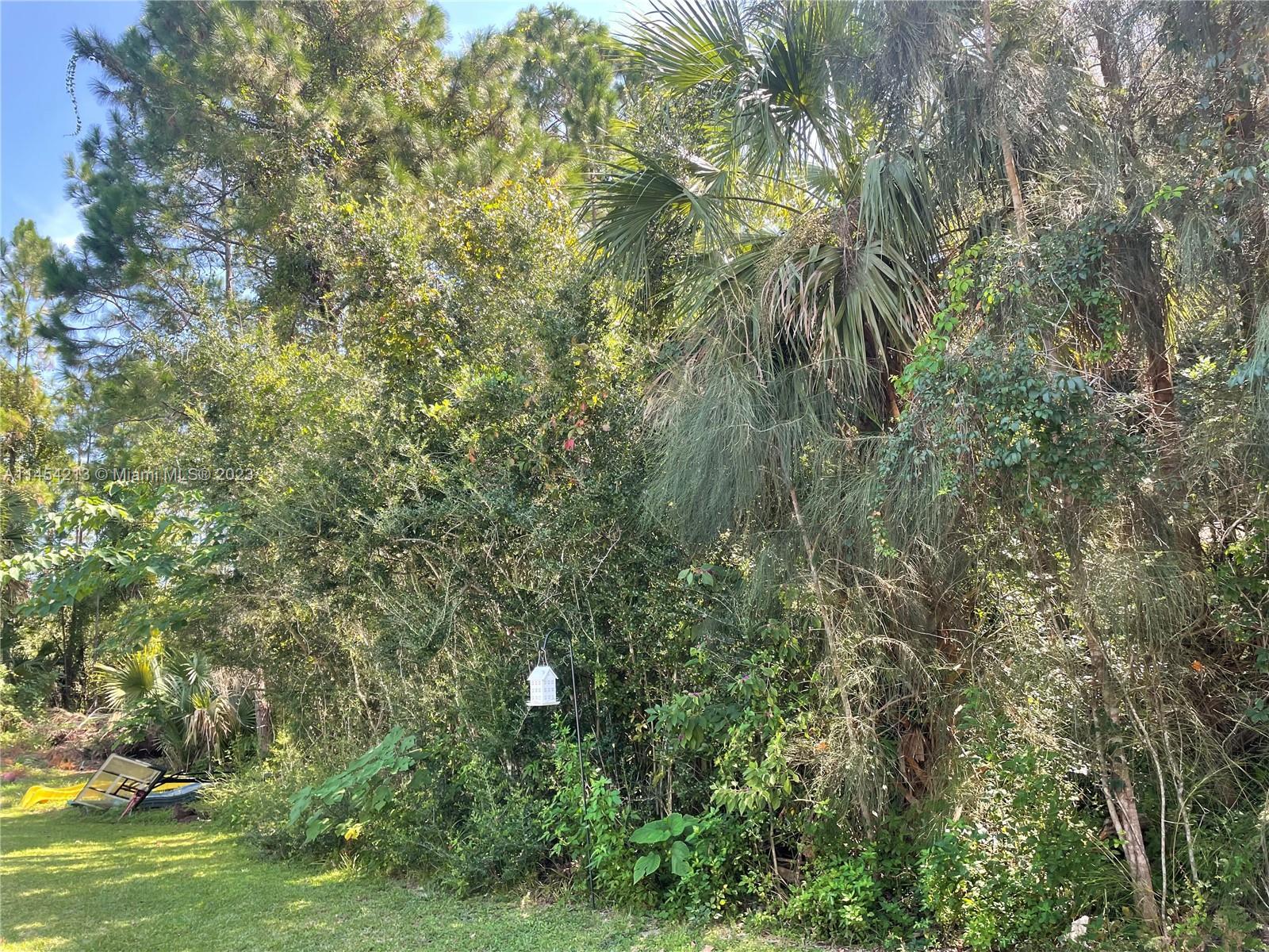 82 Upshire Path, Other City - In The State Of Florida FL 32164 photo 3
