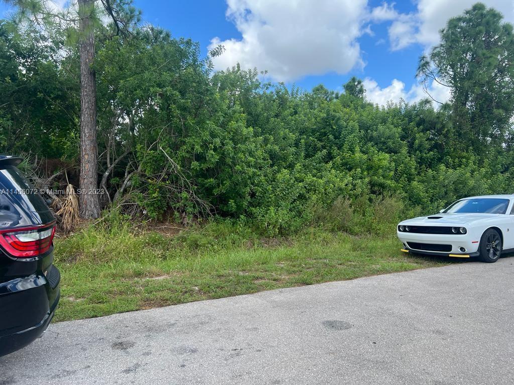 2908 CURTIS AVE S, Lehigh Acres FL 33976 photo 2