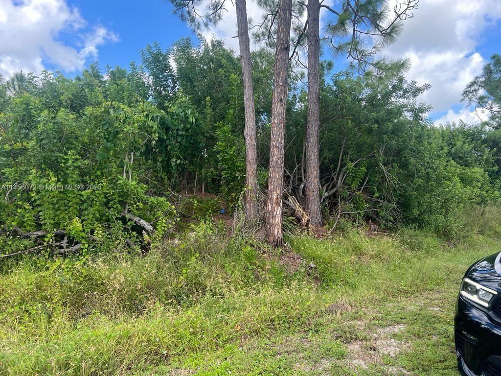 2908 CURTIS AVE S, Lehigh Acres FL 33976 photo 3