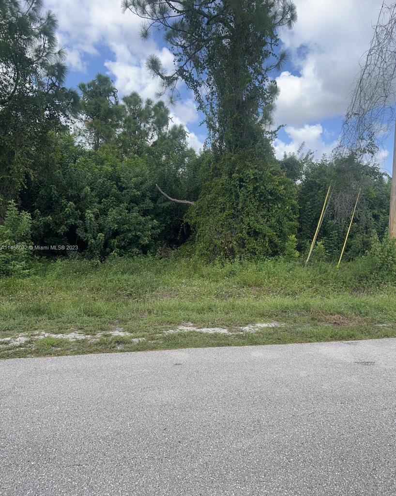 2908 CURTIS AVE S, Lehigh Acres FL 33976 photo 5