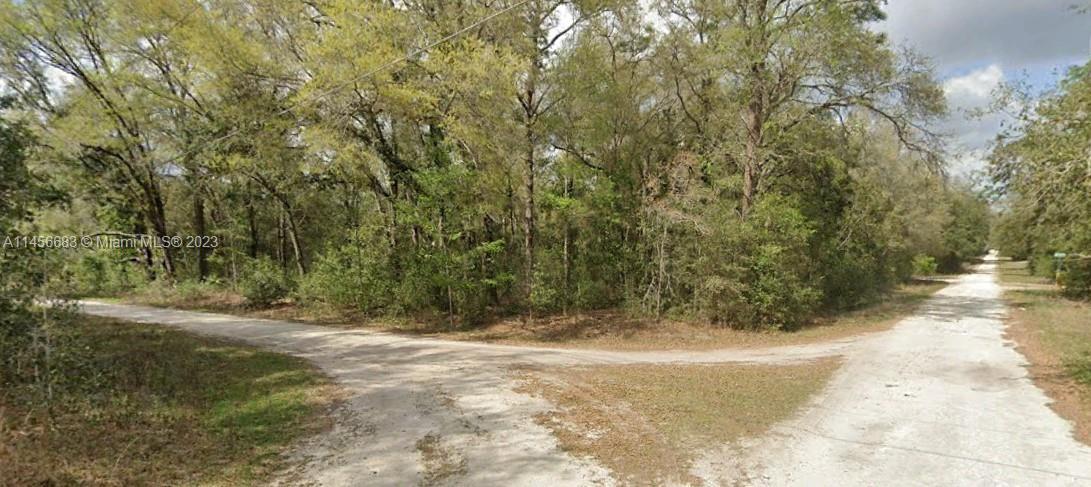 0000 SW 111 Lane, Other City - In The State Of Florida FL 34432
