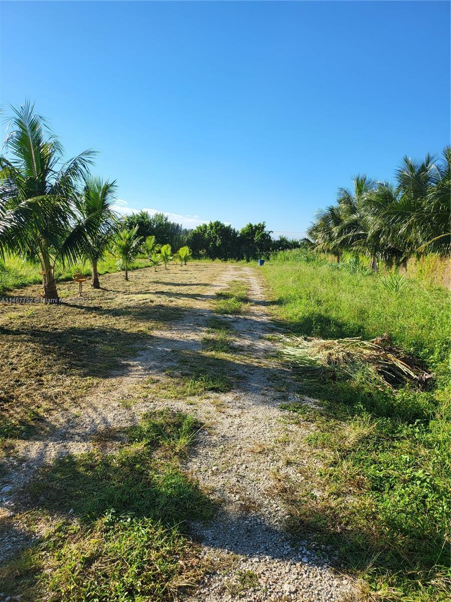 122 SW 194, Miami FL 33196 photo 5