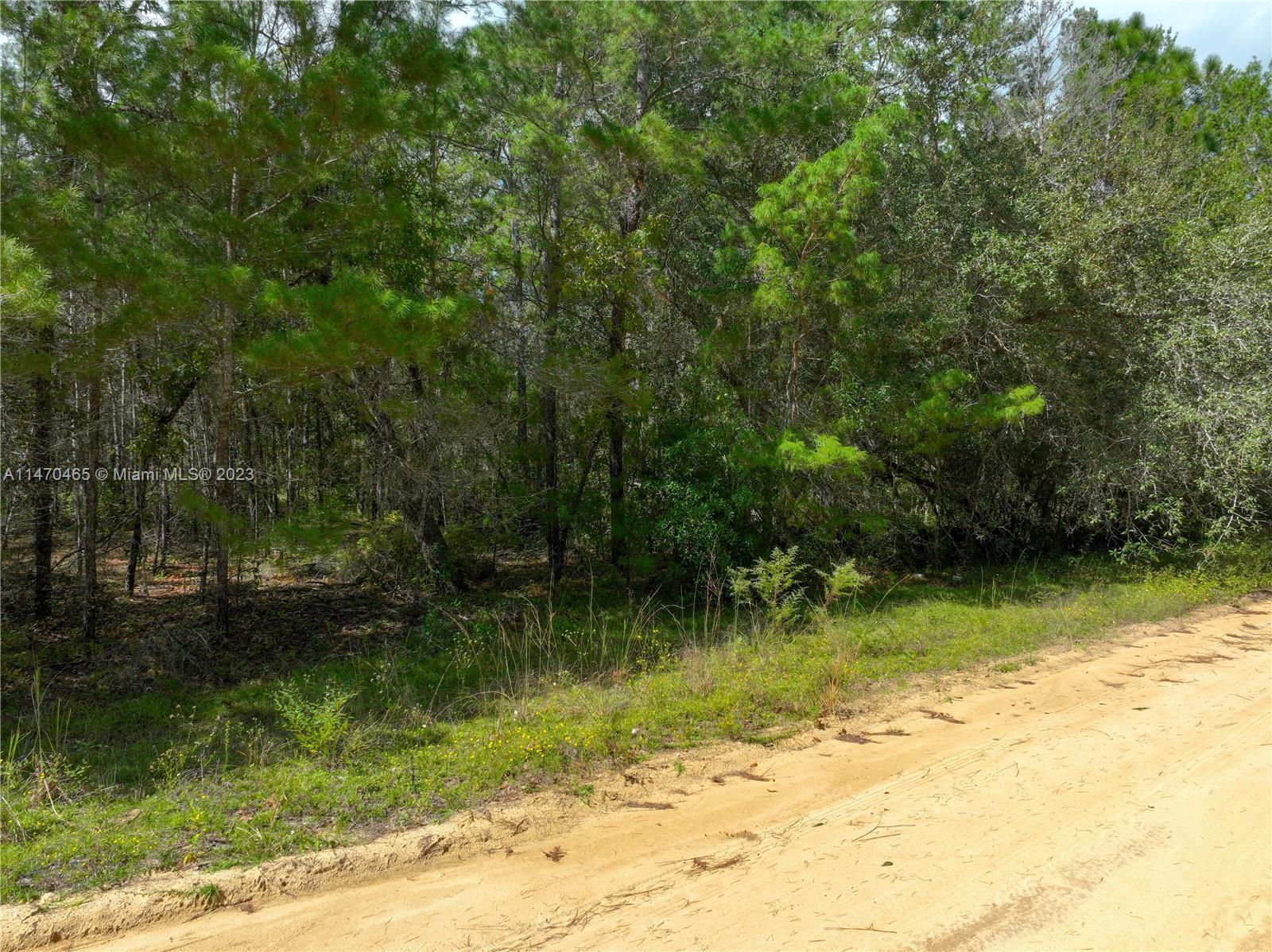 501 Del Monaco Avenue, Other City - In The State Of Florida FL 32148 photo 5