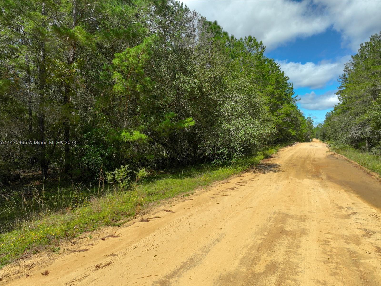 501 Del Monaco Avenue, Other City - In The State Of Florida FL 32148 photo 4