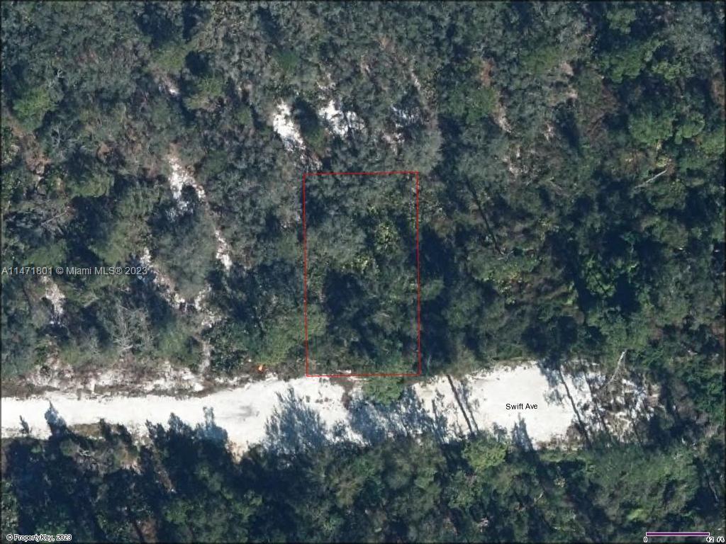 255 Swift Ave, Sebring FL 33872 photo 3