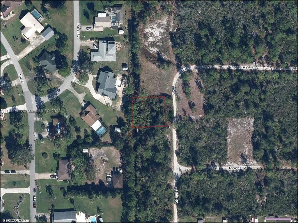 1807 Puffin St, Sebring FL 33872 photo 2